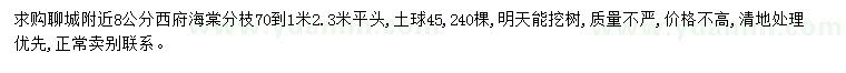 求購8公分西府海棠