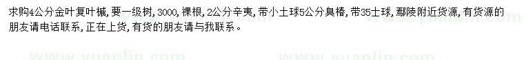 求購4公分復葉槭