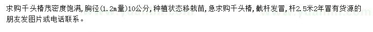 求購胸徑10公分千頭椿