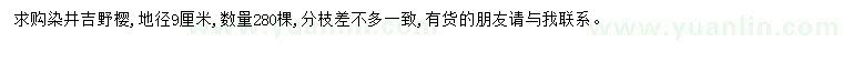 求購地徑9公分染井吉野