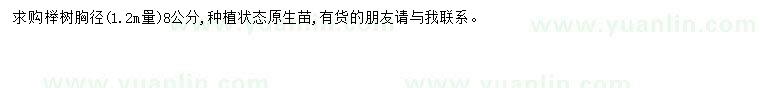 求購胸徑8公分櫸樹