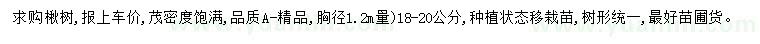 求購胸徑18-20公分楸樹
