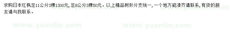 求購11公分日本紅楓