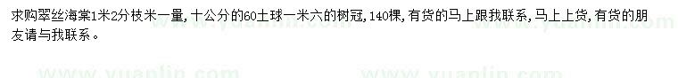 求購翠絲海棠