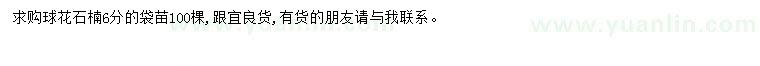 求購6公分球花石楠