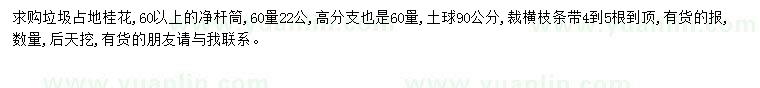 求購(gòu)占地桂花