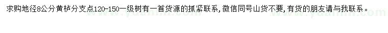求購(gòu)地徑8公分黃櫨