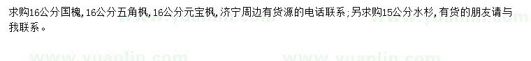 求購16公分國槐