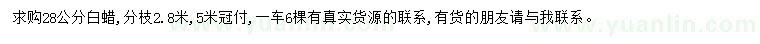 求購28公分白蠟