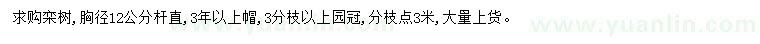 求購(gòu)胸徑12公分欒樹(shù)