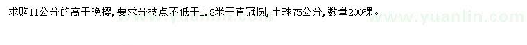 求購11公分高桿晚櫻