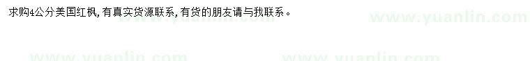 求購4公分美國紅楓