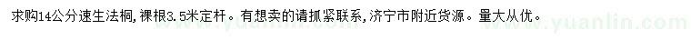 求購14公分速生法桐