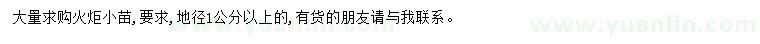 求購地徑1公分以上火炬小苗