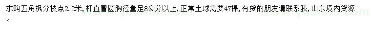 求購(gòu)胸徑8公分以上五角楓