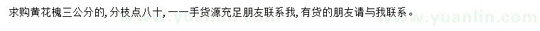 求購(gòu)三公分黃花槐