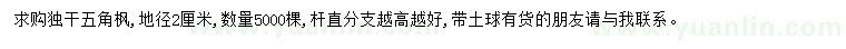 求購地徑2公分五角楓