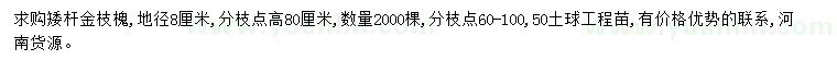 求購(gòu)地徑8公分金枝槐