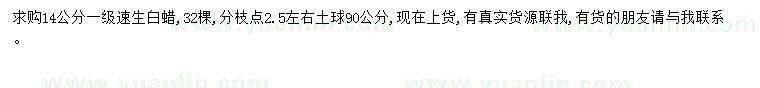 求購14公分速生白蠟
