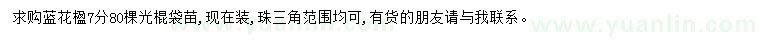 求購(gòu)7公分藍(lán)花楹