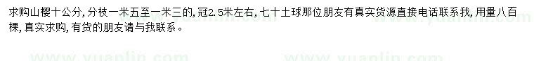 求購十公分山櫻