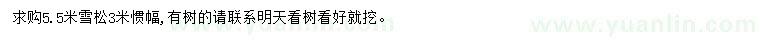 求購(gòu)5.5米雪松