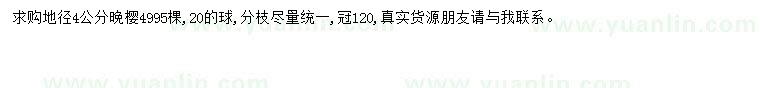 求購(gòu)地徑4公分晚櫻