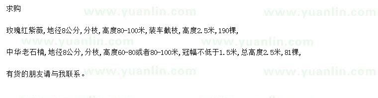 求購地徑8公分玫瑰紅紫薇、中華老石楠