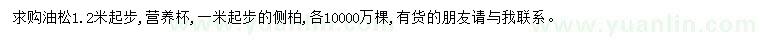 求購(gòu)1.2米以上油松、1米以上側(cè)柏