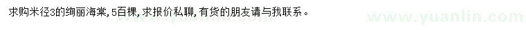 求購(gòu)米徑3公分絢麗海棠
