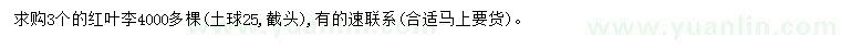求購3公分紅葉李