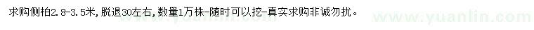 求購(gòu)2.8-3.5米側(cè)柏