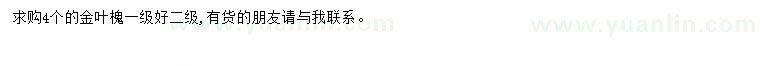求購(gòu)4個(gè)金葉槐