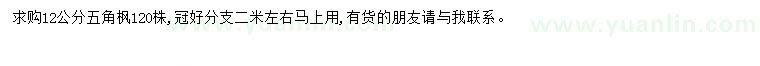求購(gòu)12公分五角楓