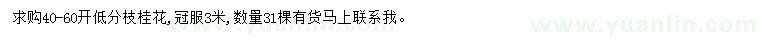 求購冠幅3米桂花