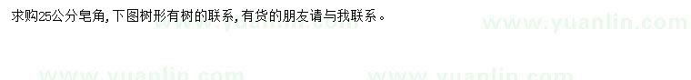 求購25公分皂角