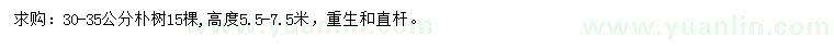 求購30-35公分樸樹