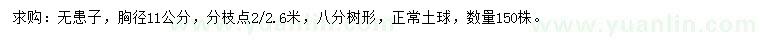 求購胸徑11公分無患子
