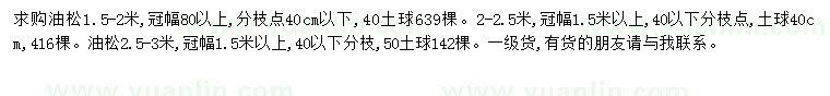 求購1.5-2米油松