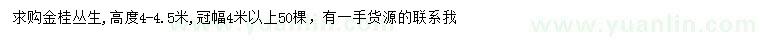 求購高4-4.5米叢生金桂