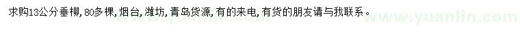 求購13公分垂柳