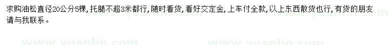 求購胸徑20公分油松