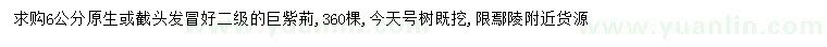 求購(gòu)6公分巨紫荊