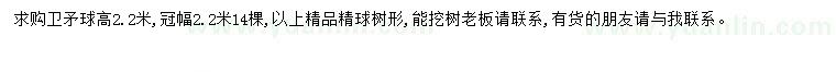 求購(gòu)高2.2米衛(wèi)矛球
