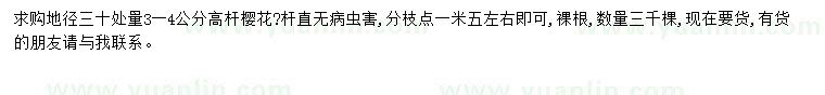 求購3-4公分櫻花