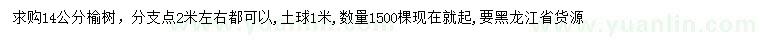 求購14公分榆樹