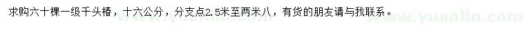 求購16公分千頭椿