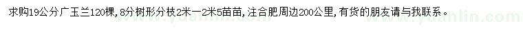 求購19公分廣玉蘭