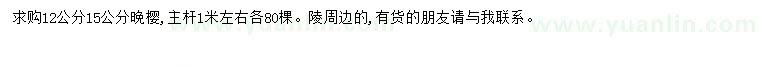 求購12、15公分晚櫻