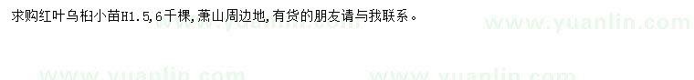 求購(gòu)烏桕